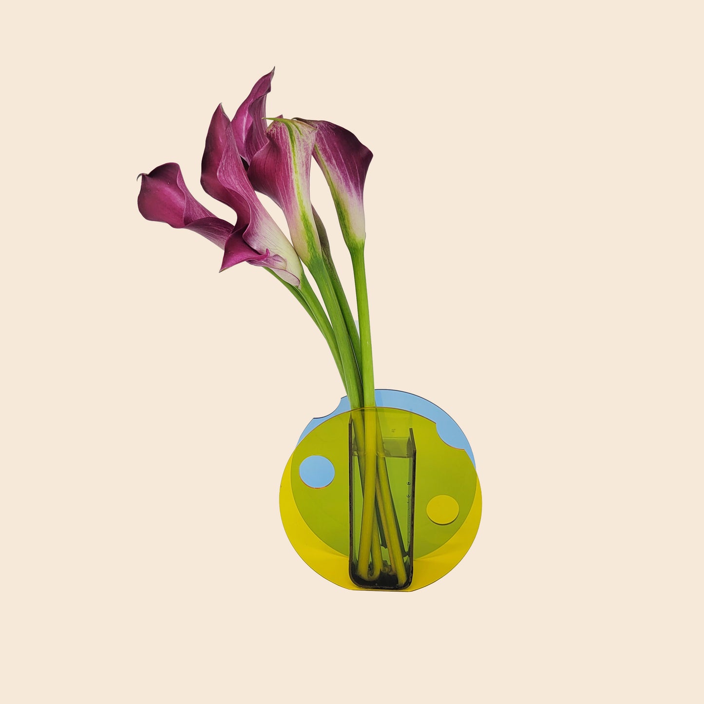 Multicolored Minimalism in Round Cup Vase Design