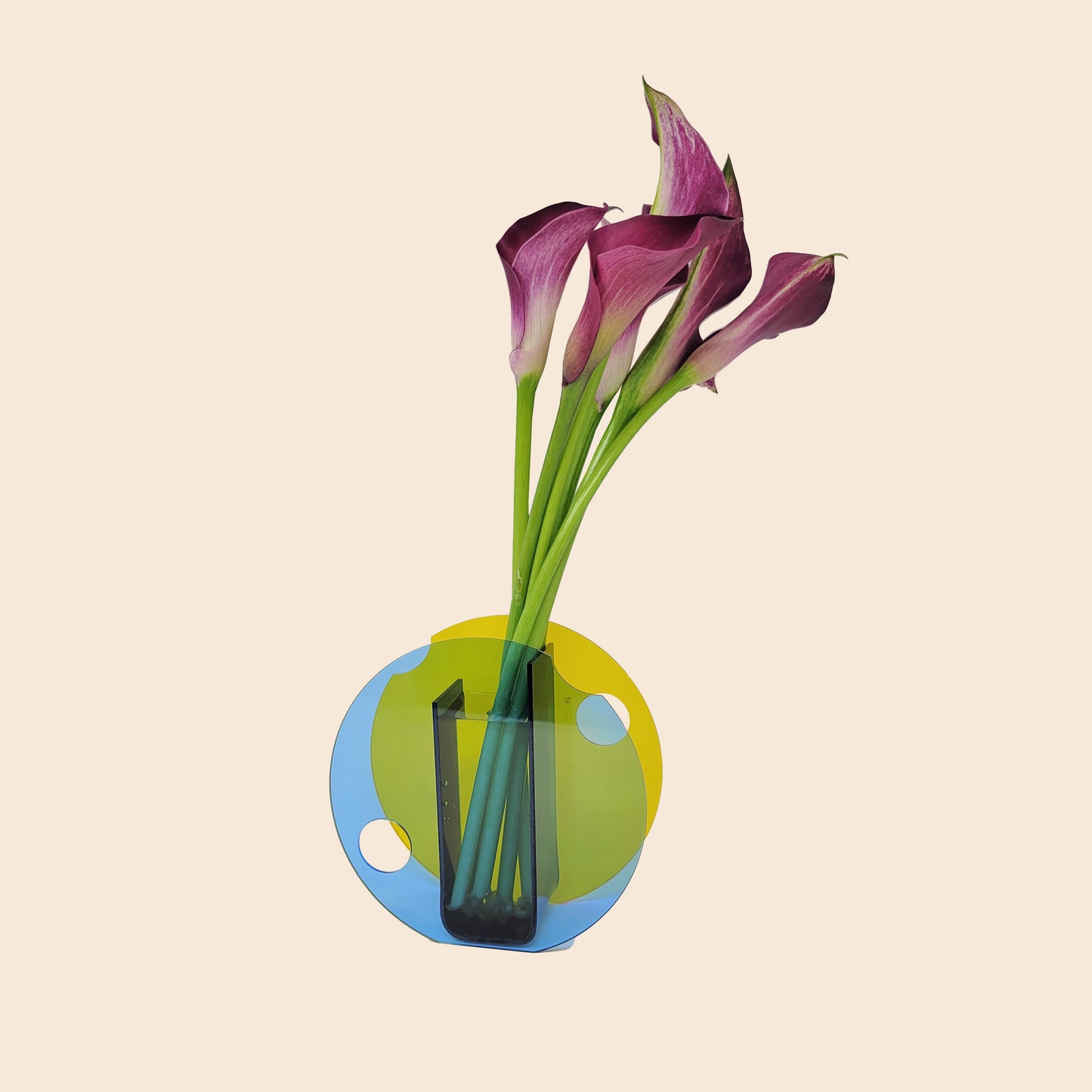 Multicolored Minimalism in Round Cup Vase Design