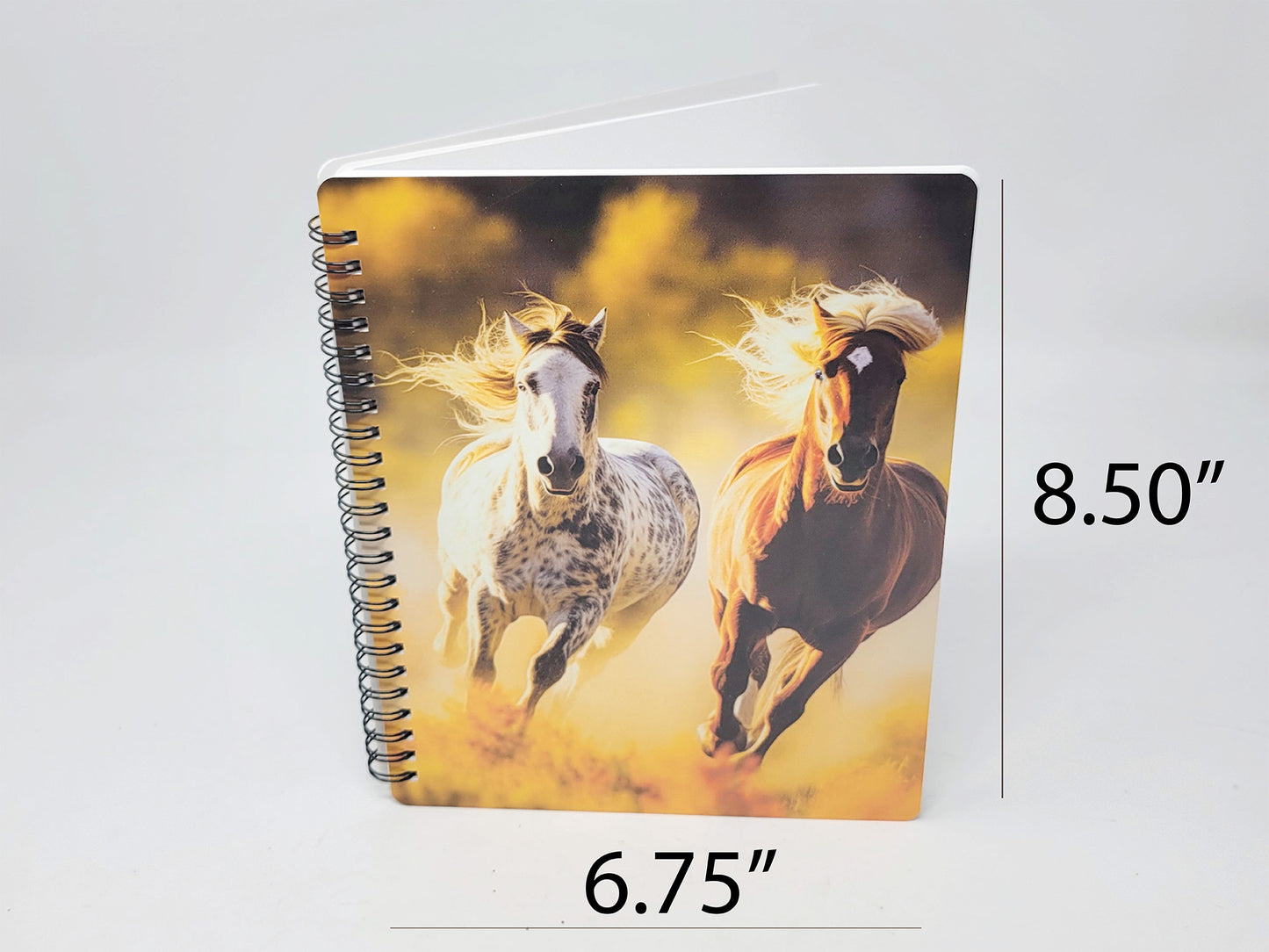 Custom Full Color Spiral Artist Pad